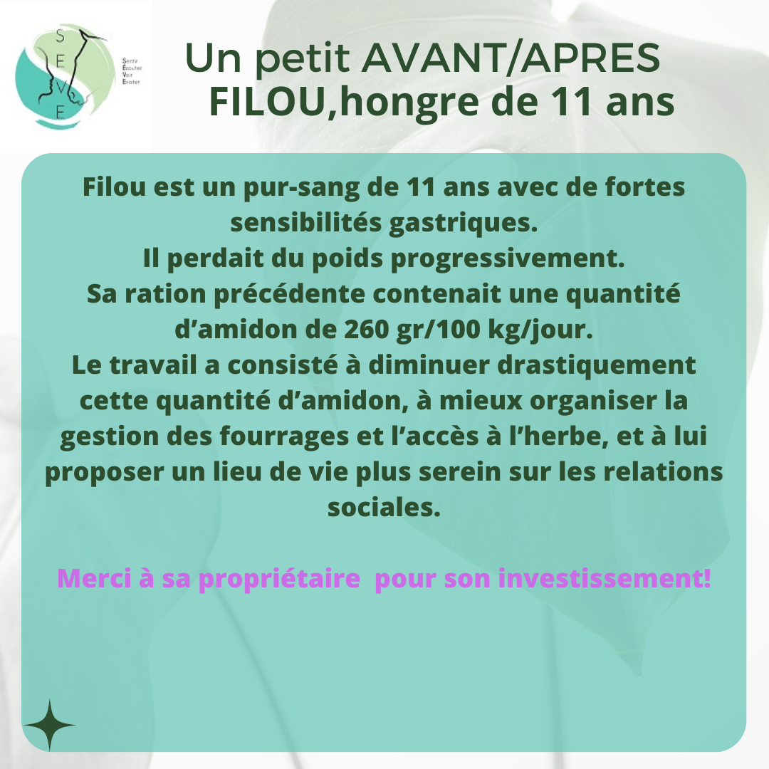 Témoignages AVANT/APRES