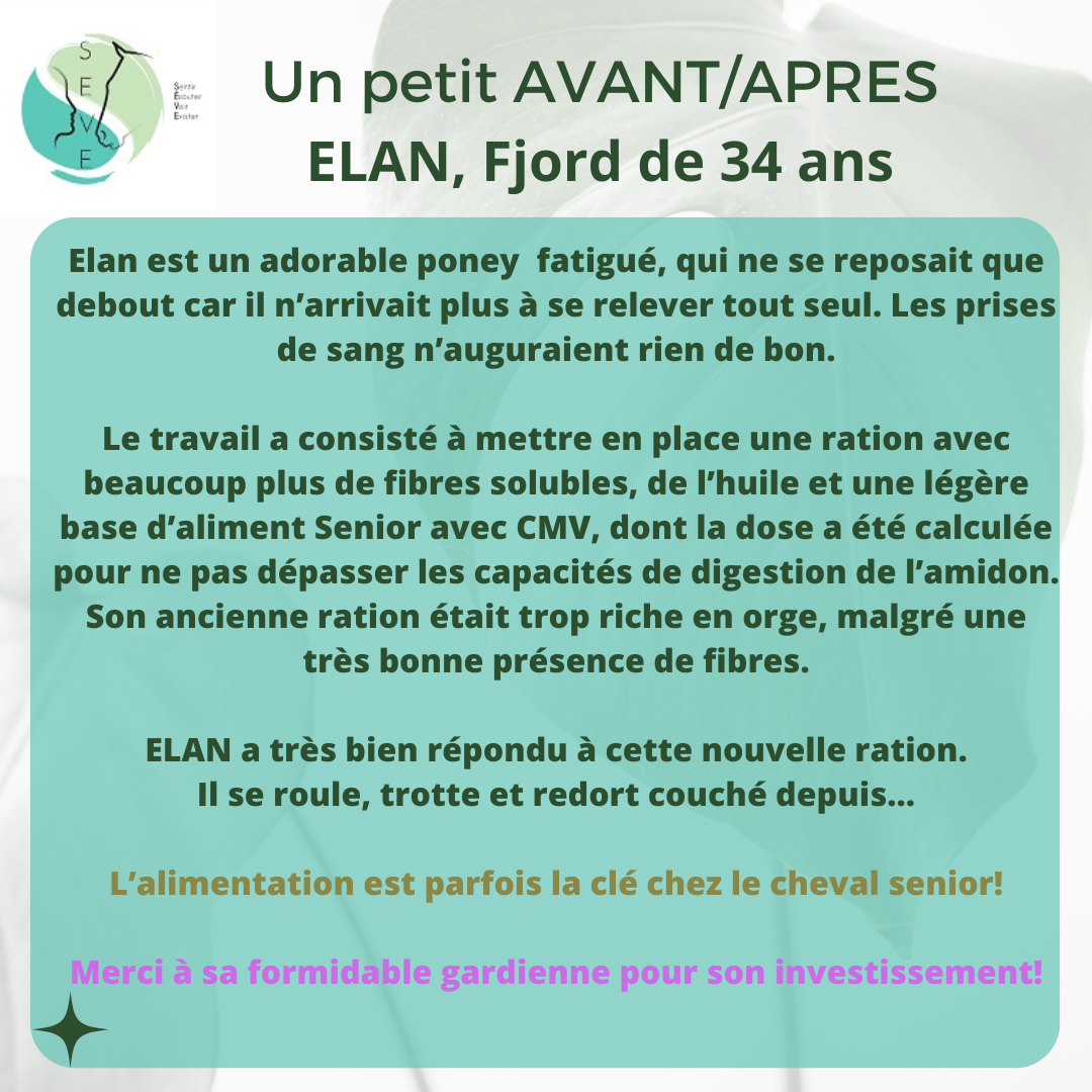 Témoignages AVANT/APRES