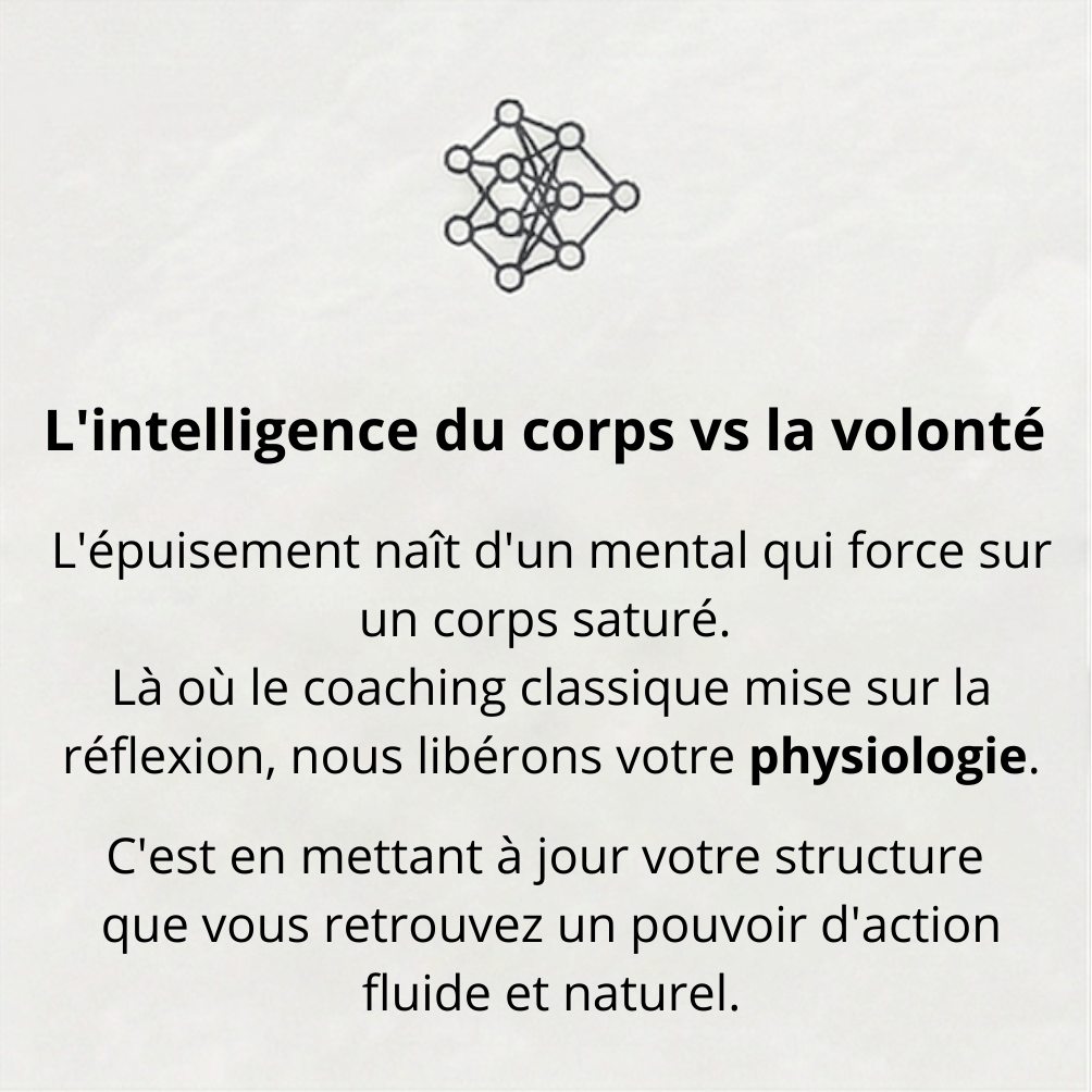 Accompagnement VIVRE - Différence entre intelligence du corps et volonté pour un leadership souverain.