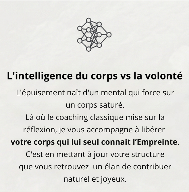Accompagnement VIVRE - Différence entre intelligence du corps et volonté pour un leadership souverain.