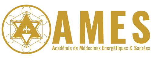 LOGOS-AMES-01