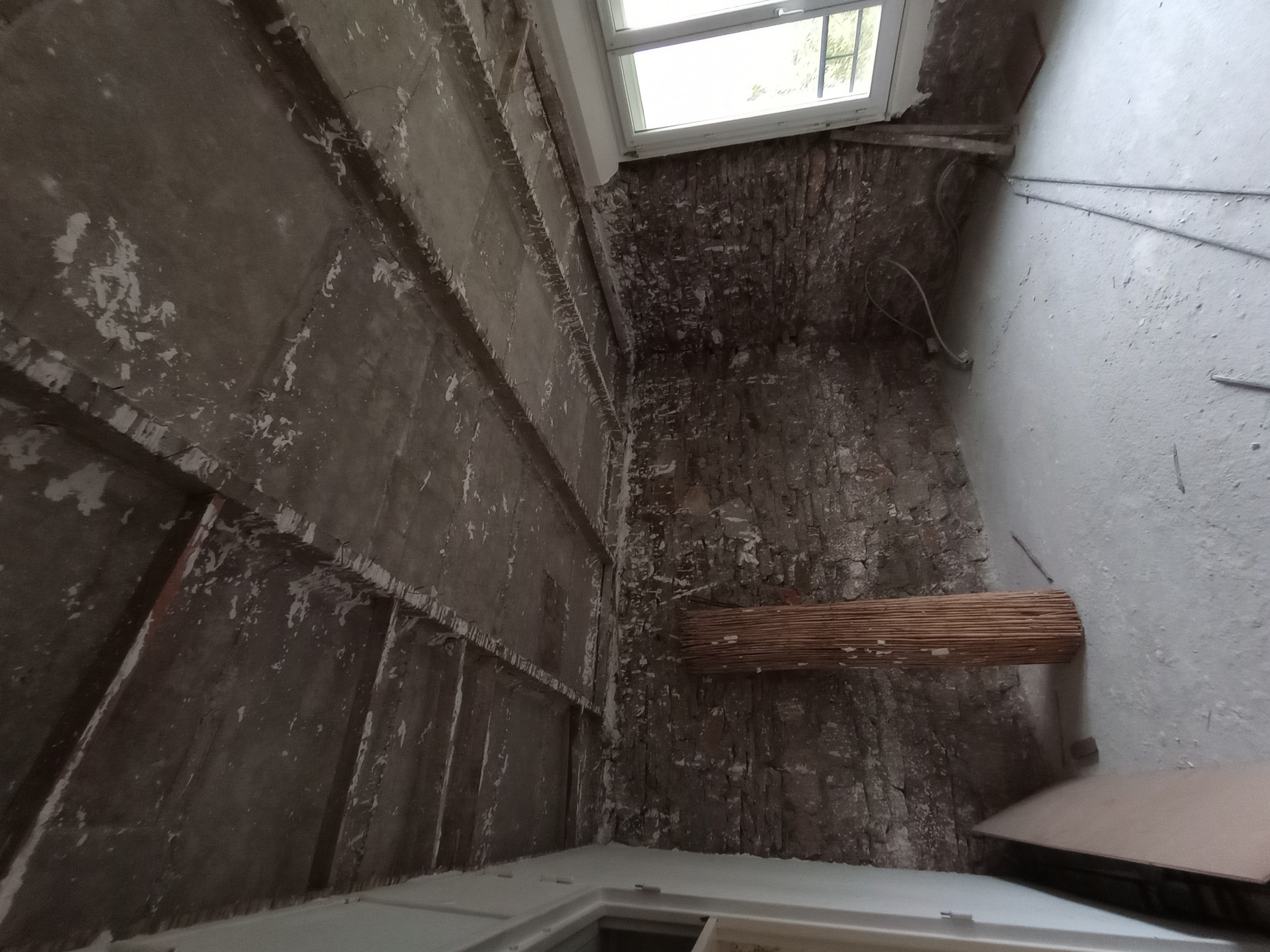 IMG_20231209_135042607