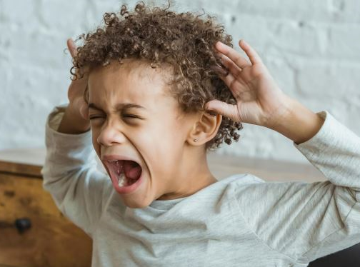 Capture%20d_%C3%A9cran%202025-03-14%20115240