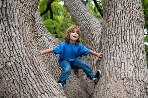 enfant dans les arbres