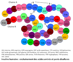 acides%20amine%CC%81s