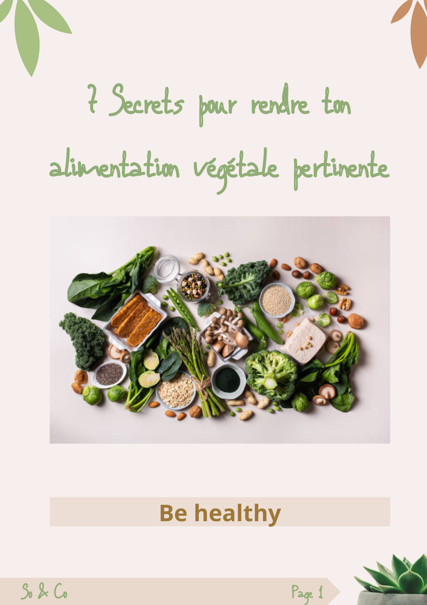 ebook%20So%20%26%20Co