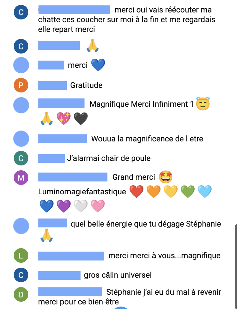 Tem-2-Chat-conf_29_01_25-2