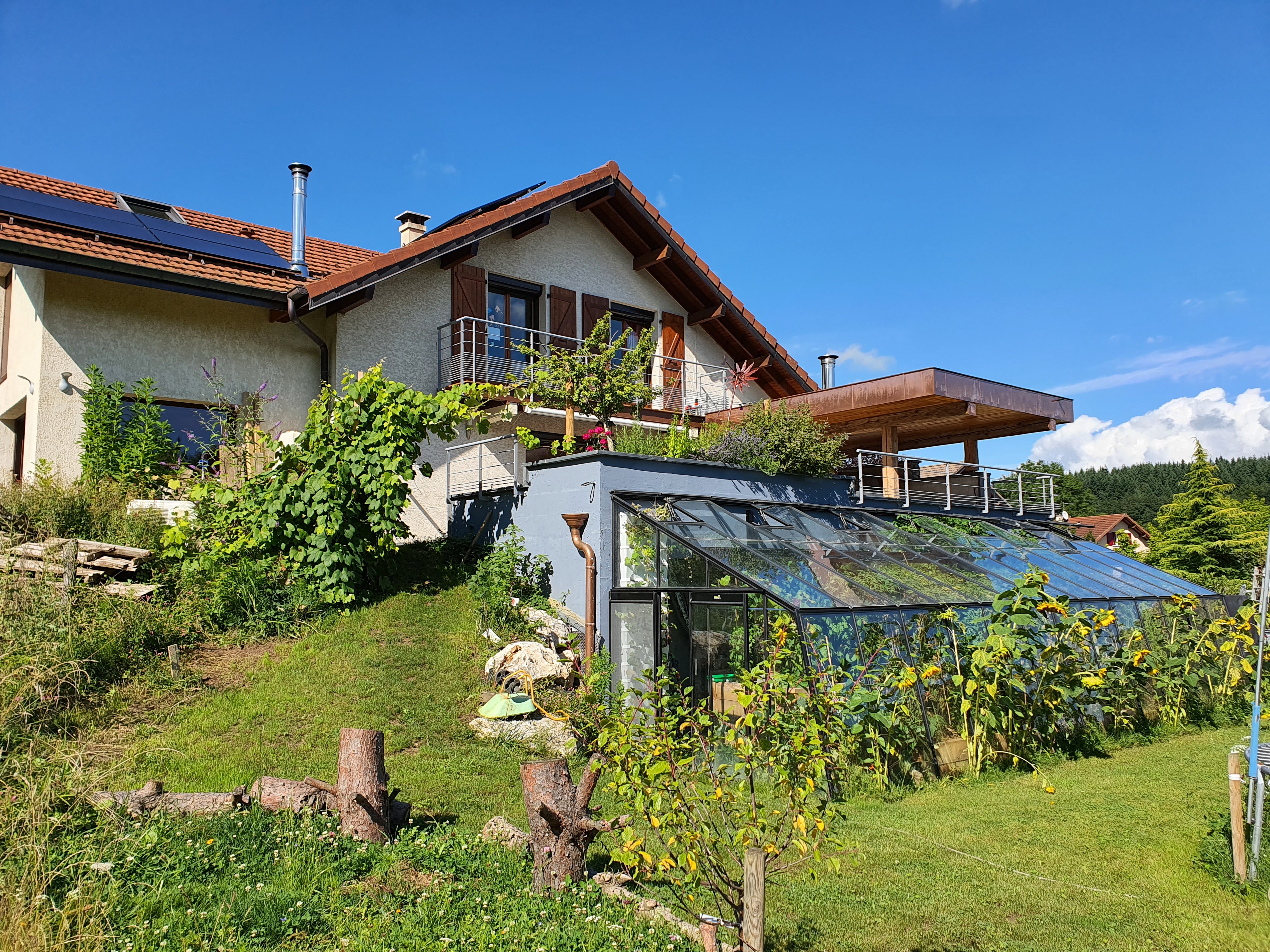 thomasravez%40yahoo_fr%20TF1