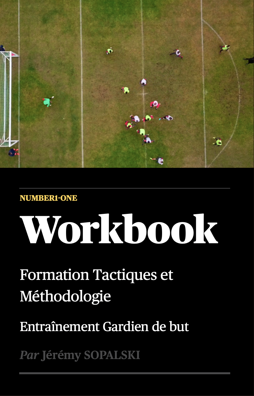 Capture%20d%E2%80%99e%CC%81cran%20TACTIQUE