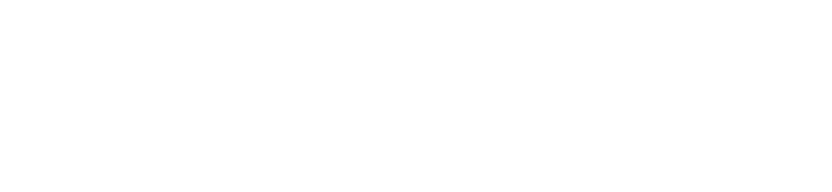 Logo%20spirit%20blanc