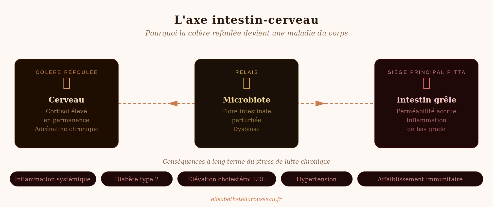 l'axe intestin cerveau