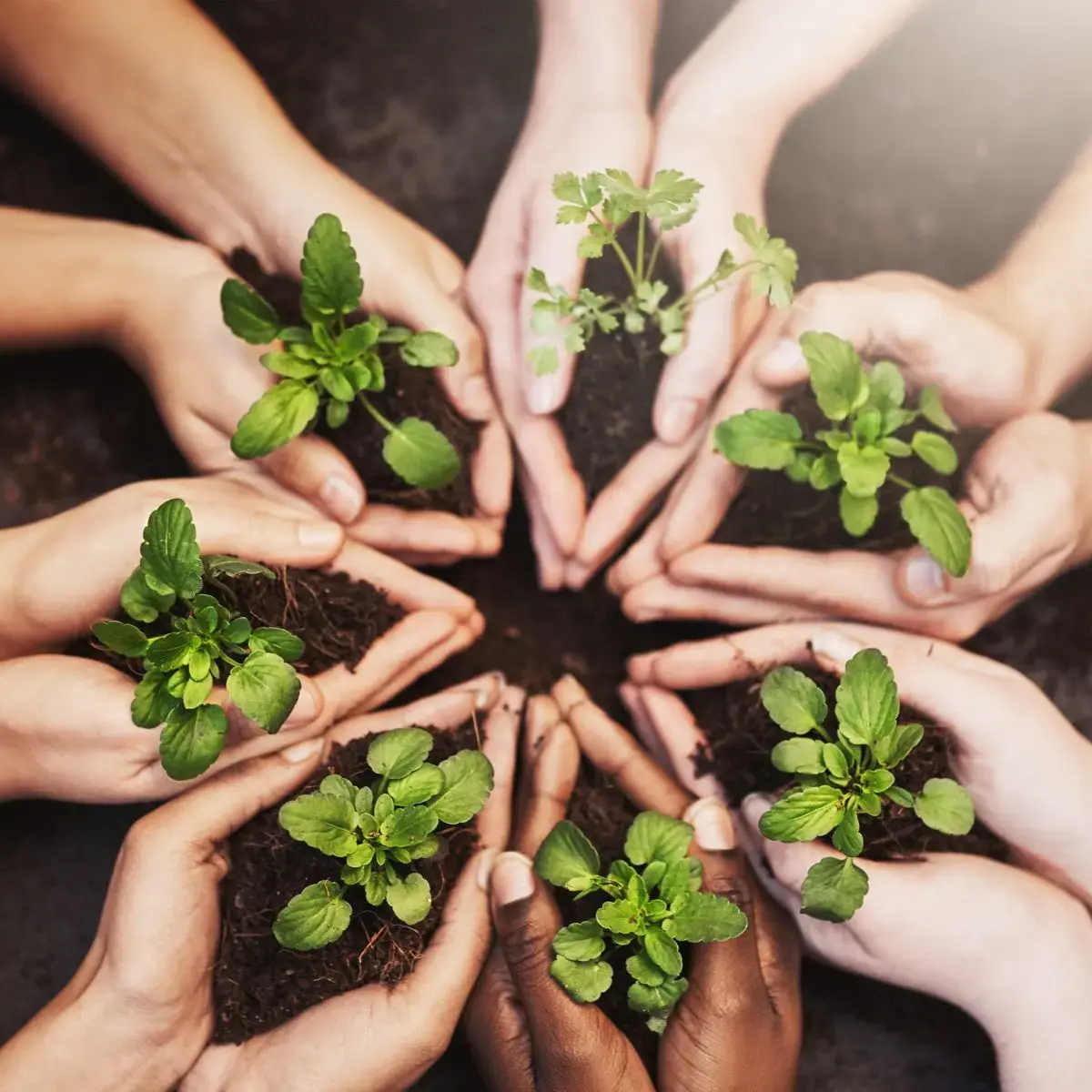 sophrologue_ayurveda_ambon-muzillac_damgan_respiration_souffle_stress_chronique_burn_out_surcharge_mentale