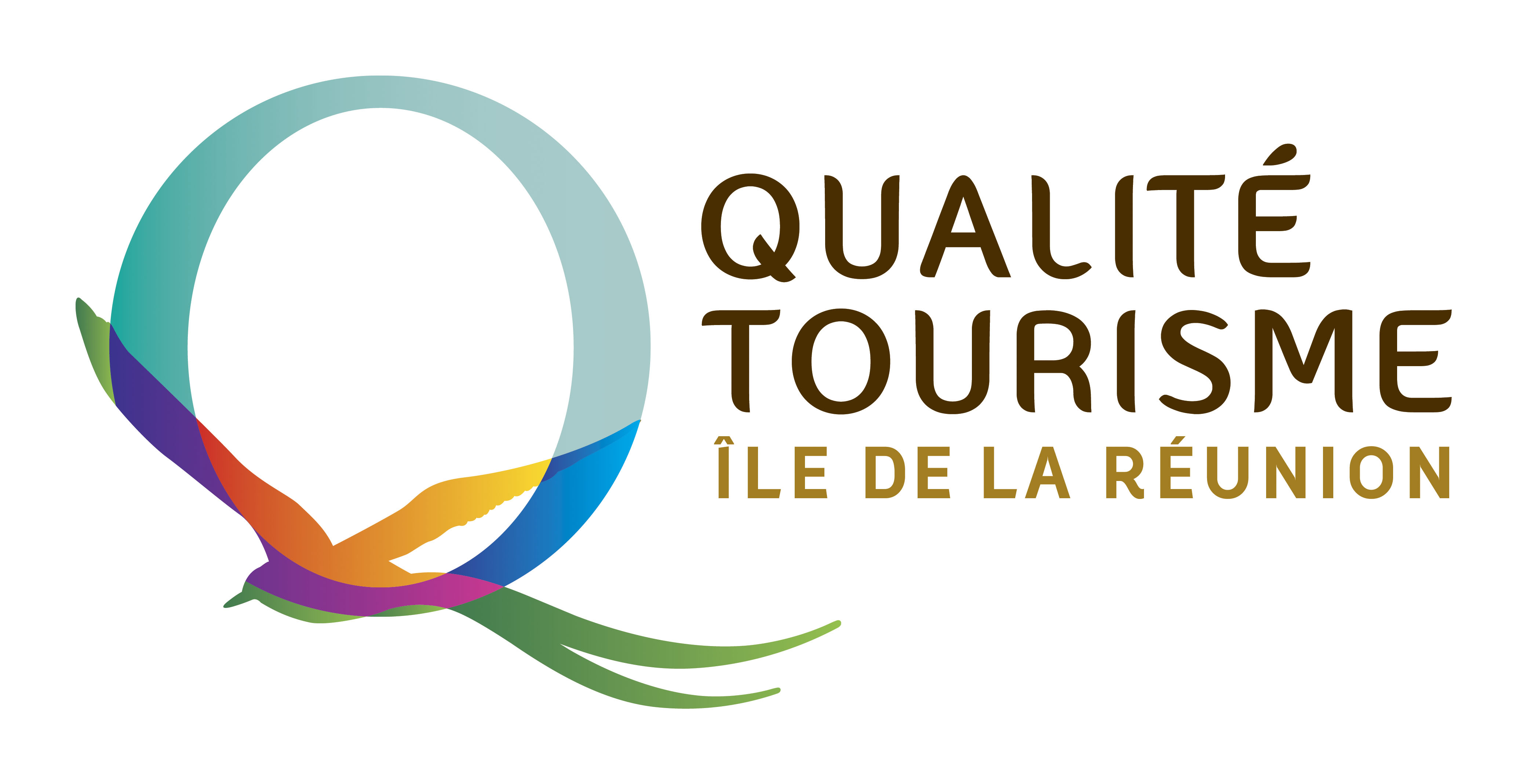 Logo%20QTIR