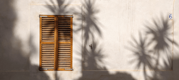 learnybox-theme-04-image-12