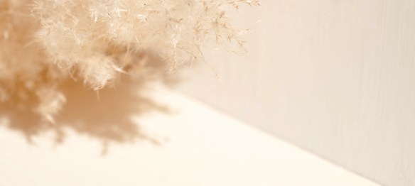 learnybox-theme-04-image-13