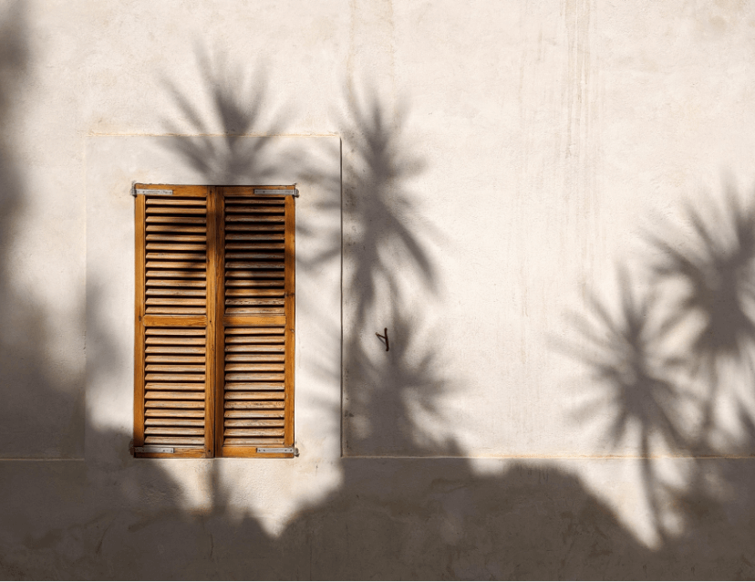 learnybox-theme-04-image-20