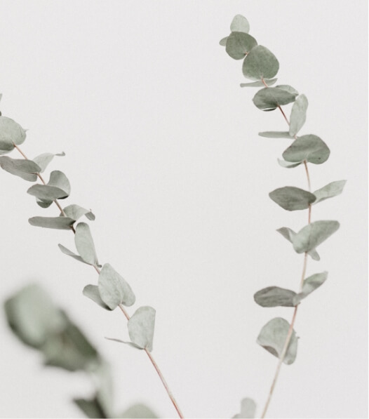 learnybox-theme-06-image-07