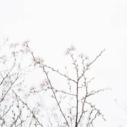 learnybox-theme-06-image-12