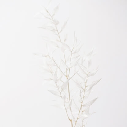 learnybox-theme-06-image-13