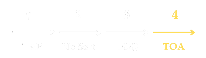 Frise%20programme%20en%20bandeau%20(1)