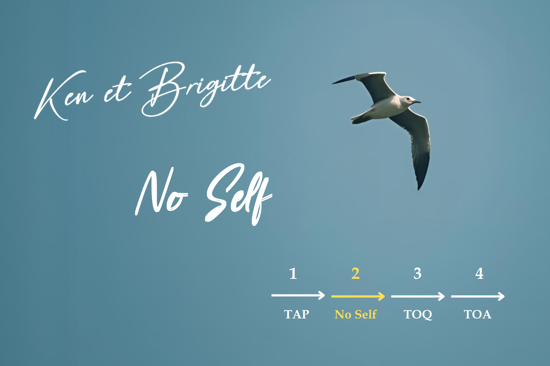 LP%20des%20programmes%20(2)