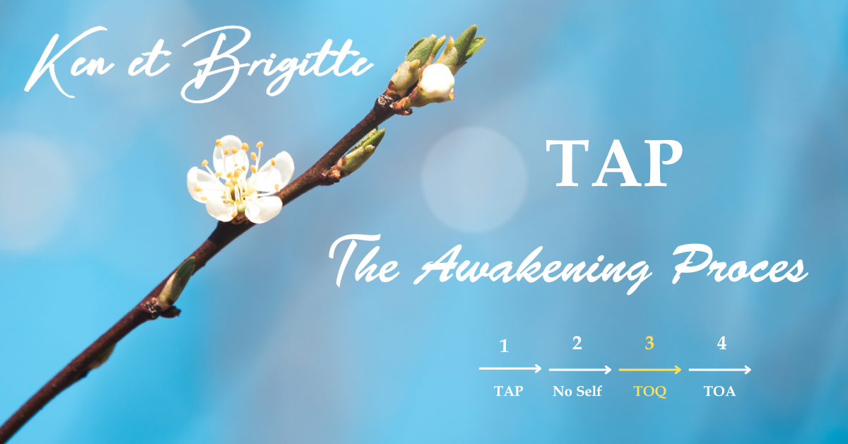 En%20te%CC%82te%20pages%20tunnel%20TOQ%20MINI En%20te%CC%82te%20pages%20tunnel%20TOQ%20MINI