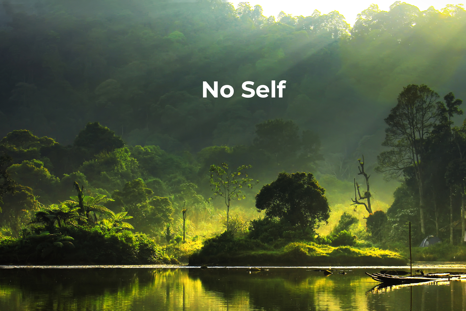 Vignettes%20siteLP%20-%20essais%20(1)(1)