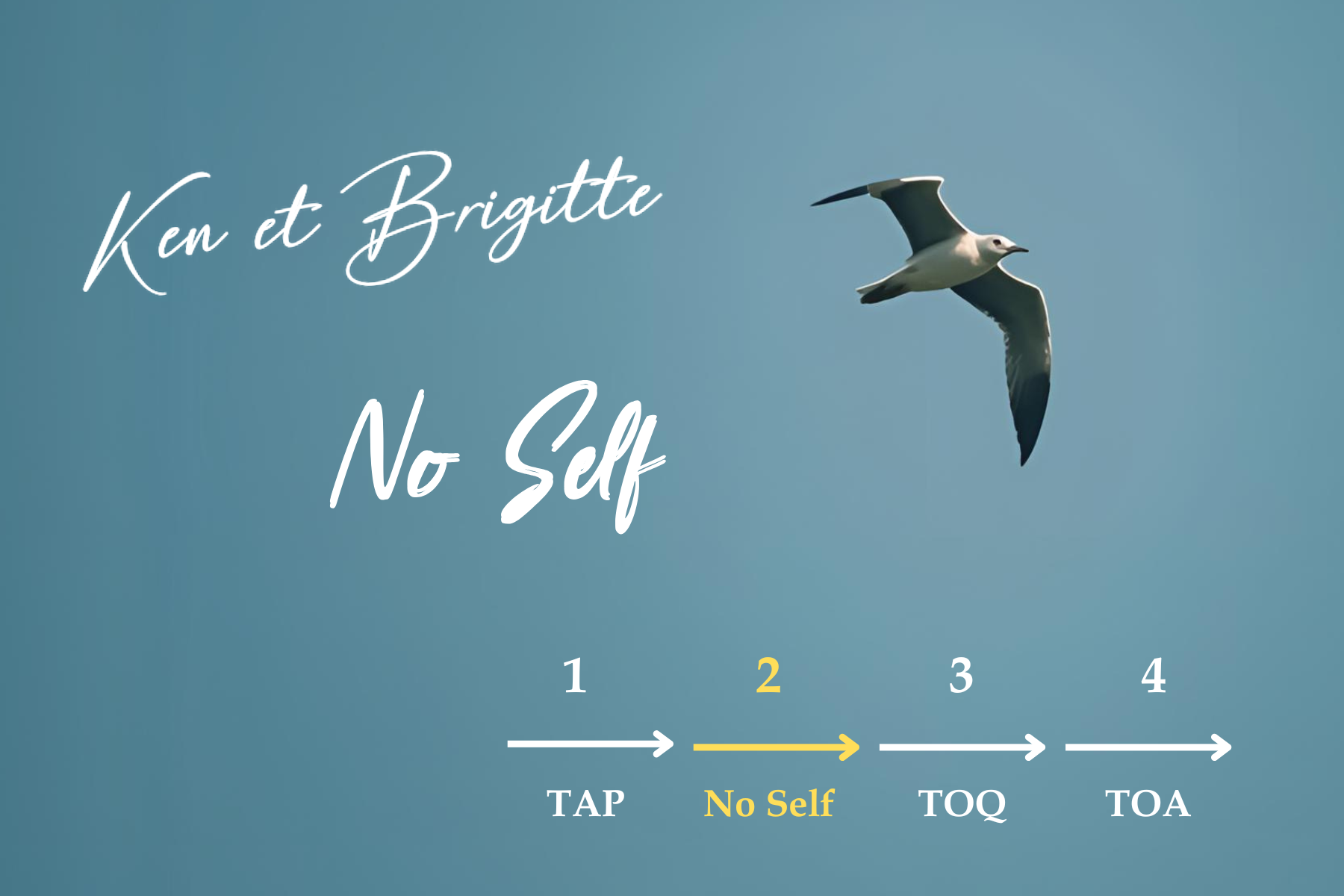 Vignettes%20des%20programmes%20fin%202025%20(5)