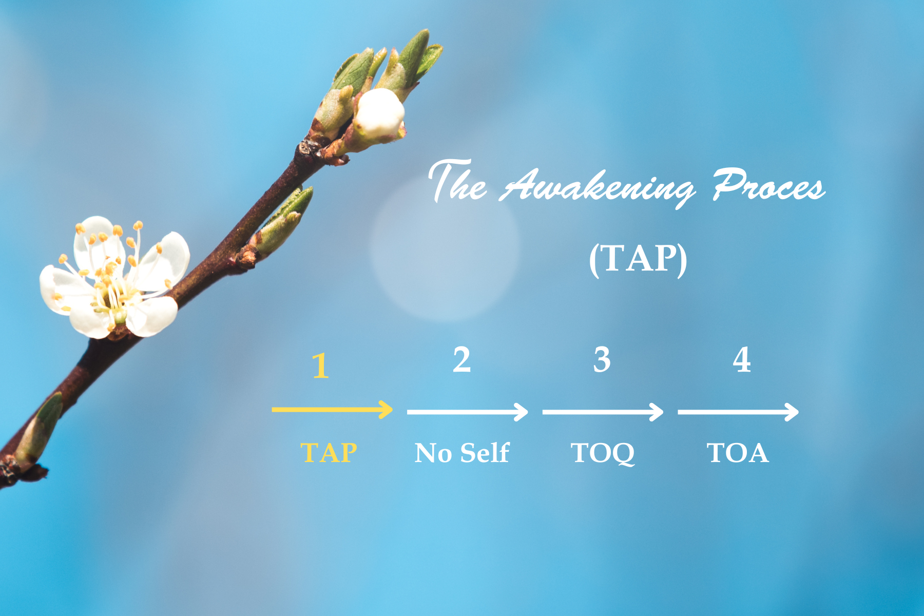 Vignettes%20des%20programmes%20fin%202025