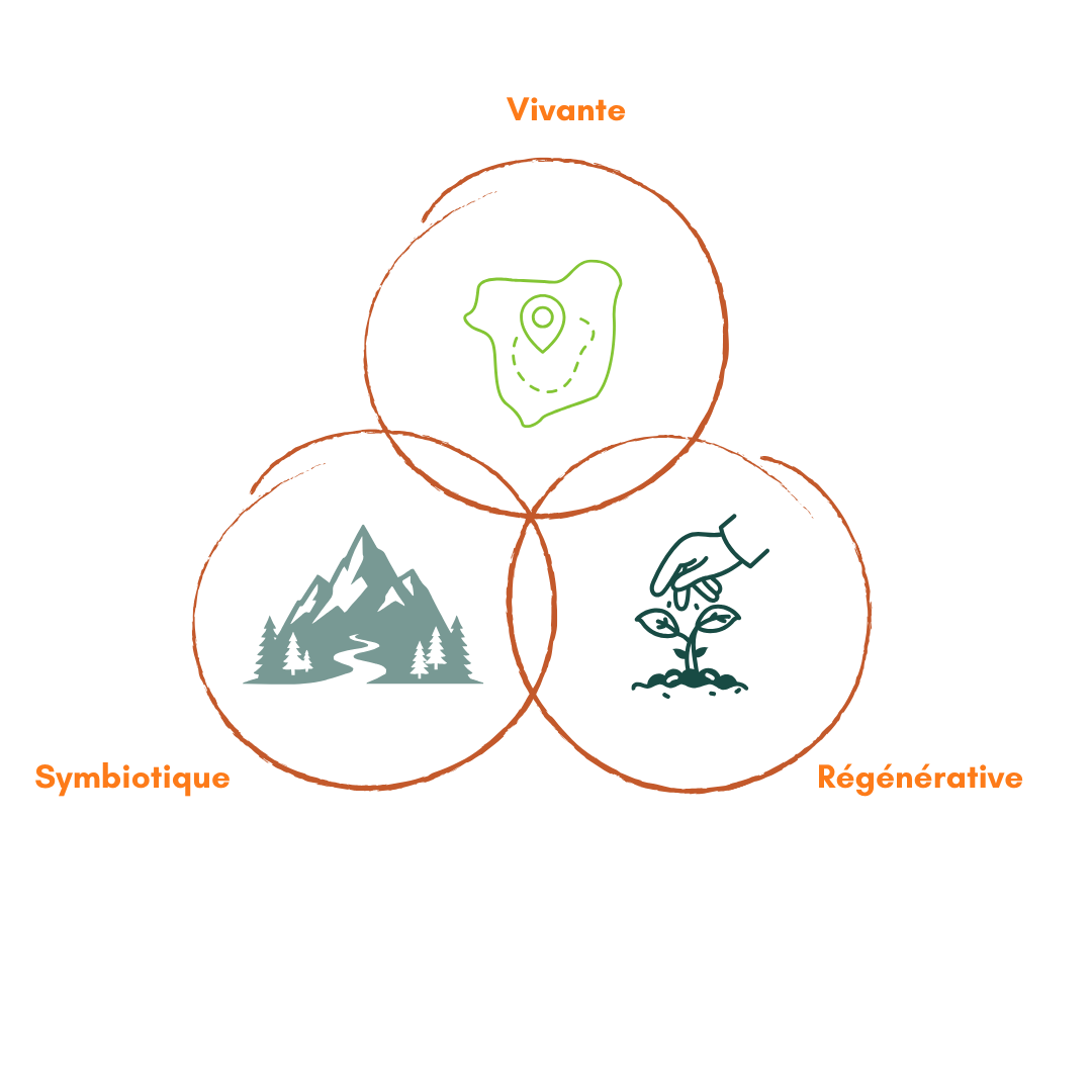 Schéma Natural Loop – 3 étapes : Vivante, Symbiotique, Régénérative