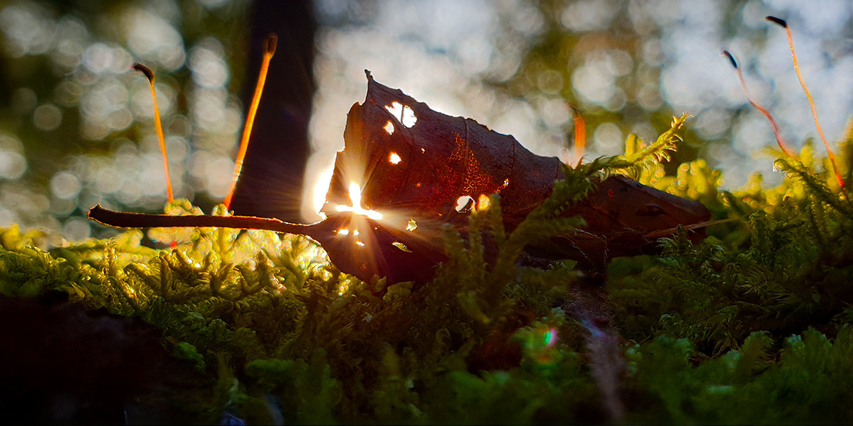 Accueil-Fr%C3%A9d%C3%A9ric-Ar%C3%A9mis-Florin