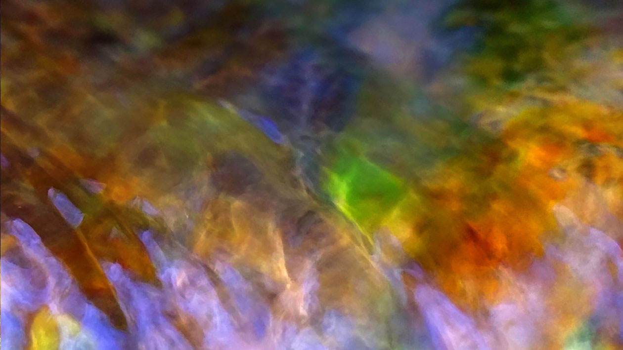 Fr%C3%A9d%C3%A9ric-Ar%C3%A9mis-Florin-emotionnel