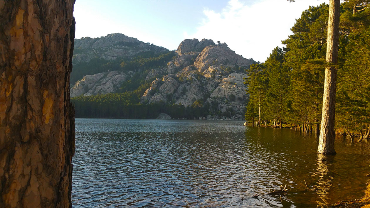 Fr%C3%A9d%C3%A9ric-Ar%C3%A9mis-Florin-porte-3a