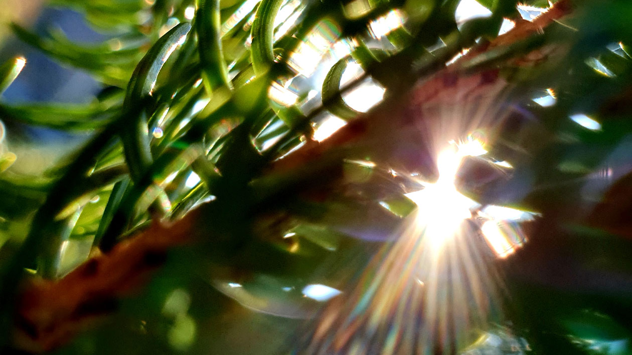 Fr%C3%A9d%C3%A9ric-Ar%C3%A9mis-Florin-porte-4