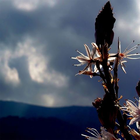 image-unite__480x480