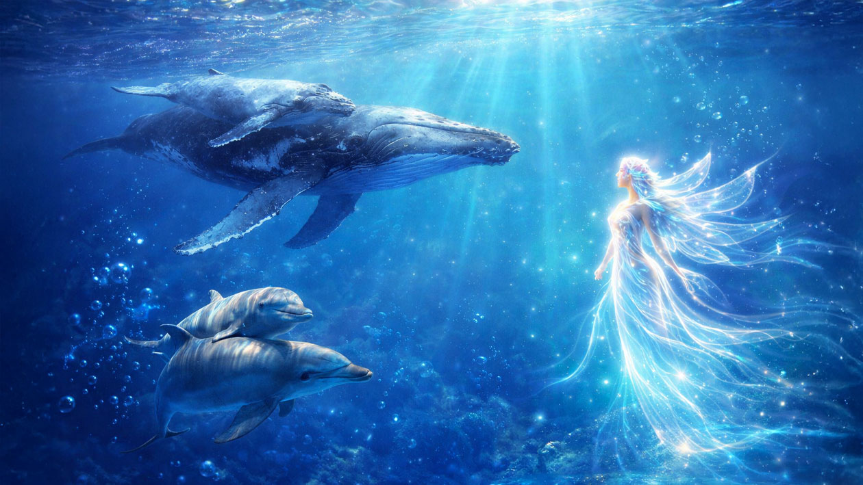 Activation-Coeur-Superieure-II