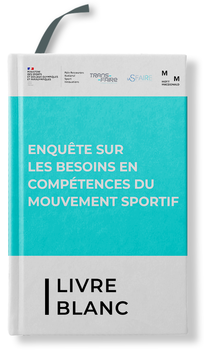 Book-Mockup-livre-blanc-PRNSI-copie