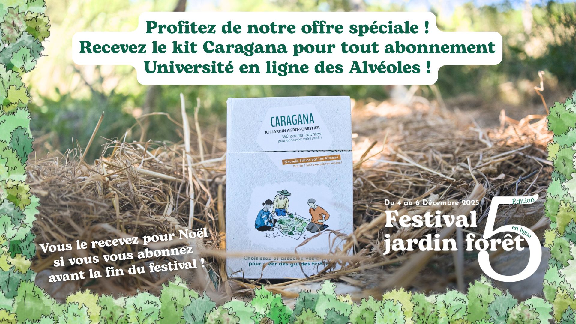 FJF5%20Couverture%20Alve%CC%81oles%20(8)