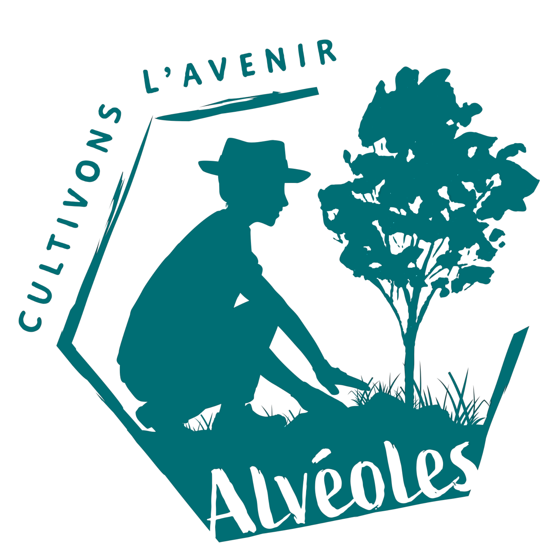 Les Alvéoles