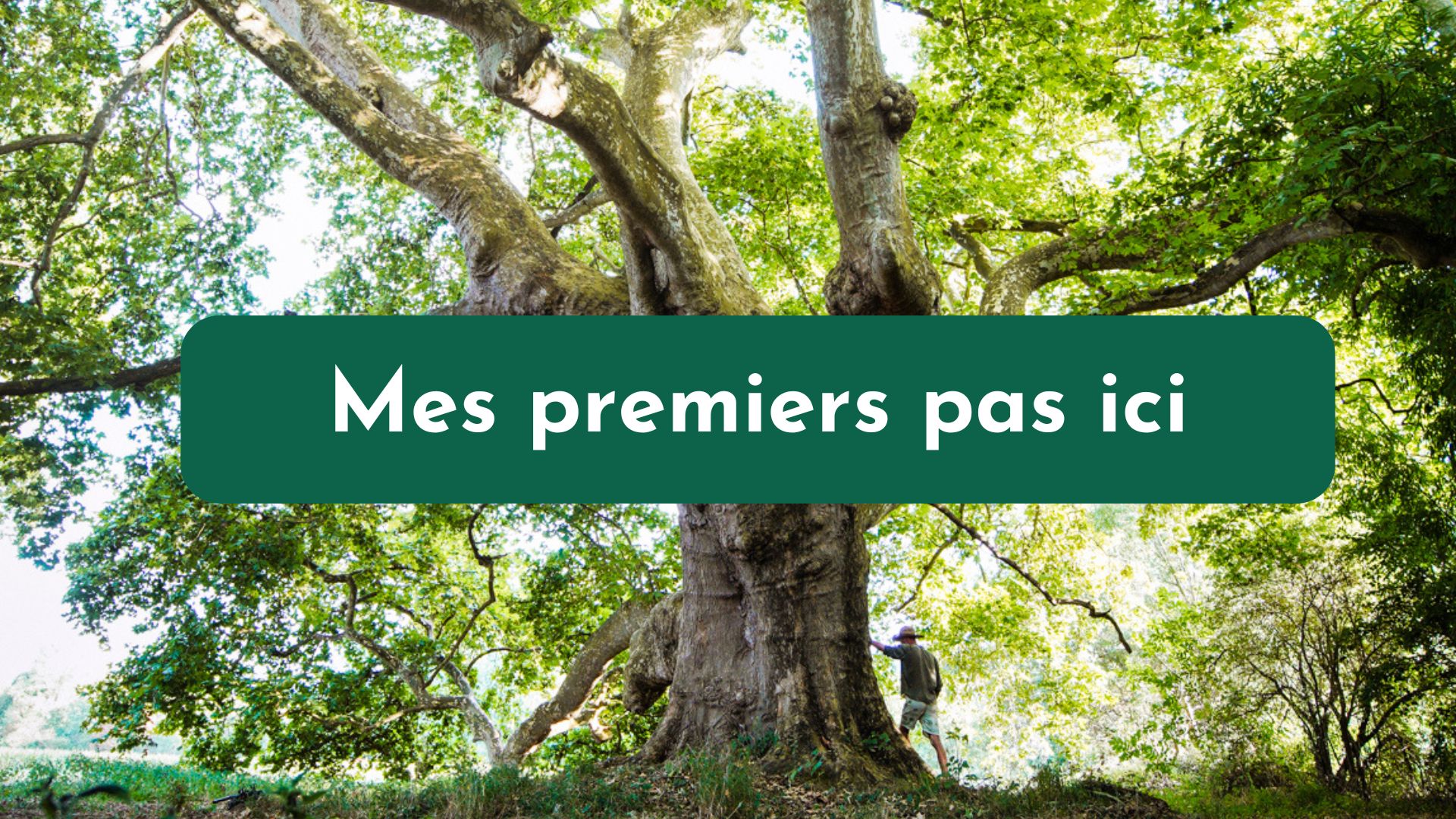 Mon espace aux Alvéoles
