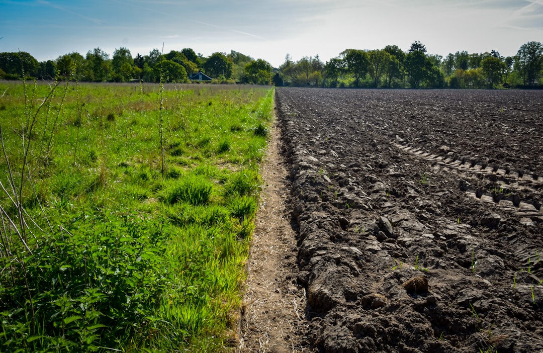 2026 : Le crépuscule de l'agriculture pétrolière