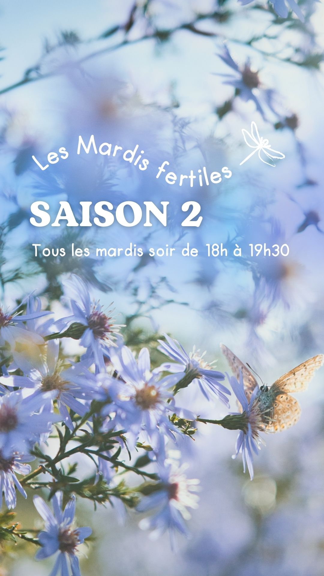 Story%20-%20couv%20reel%20INSTA%20(21)