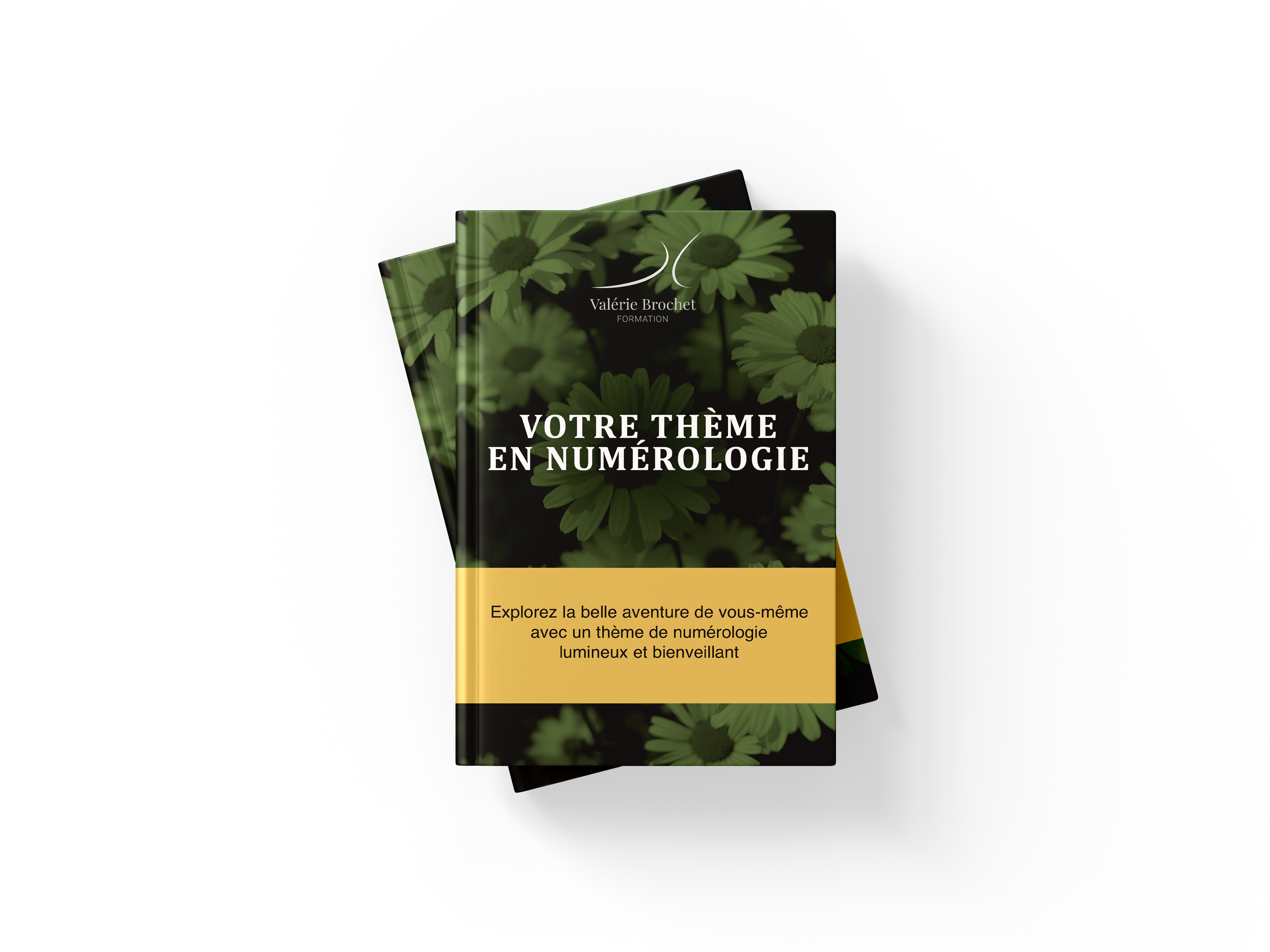 0525-VALERIEBROCHET-VISUEL-FORMATION