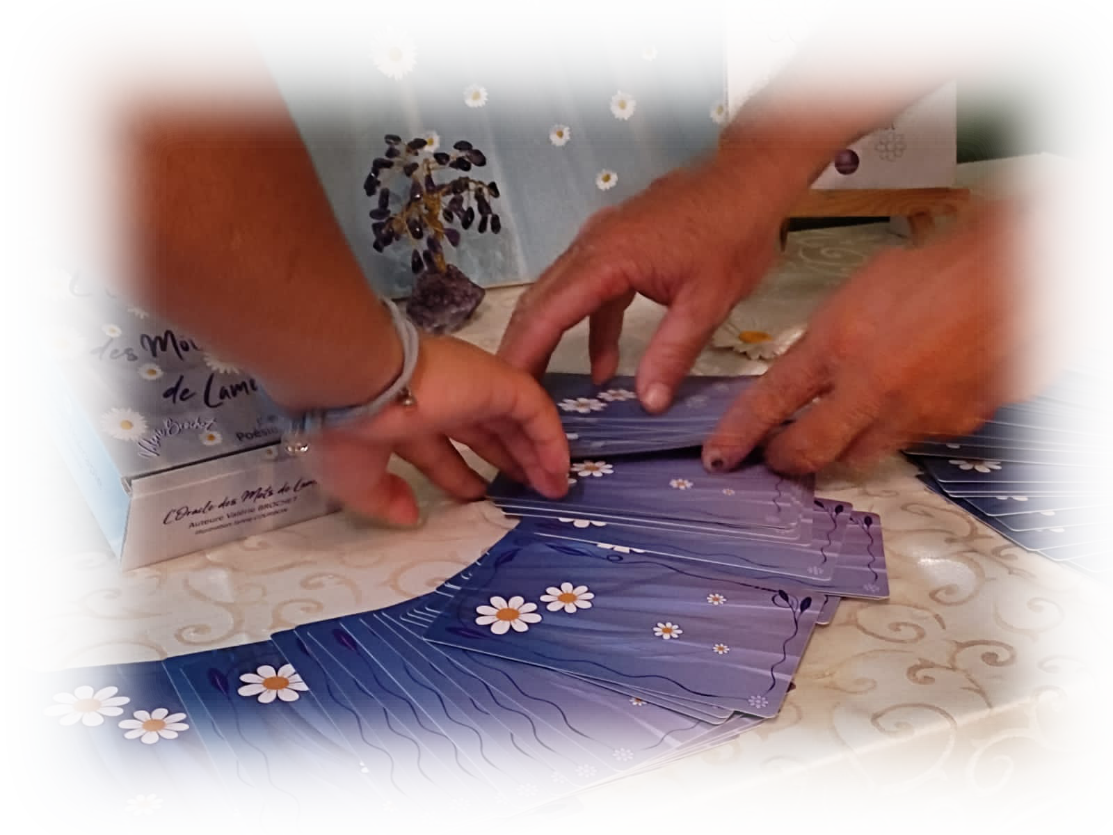 Flou%20Cartes
