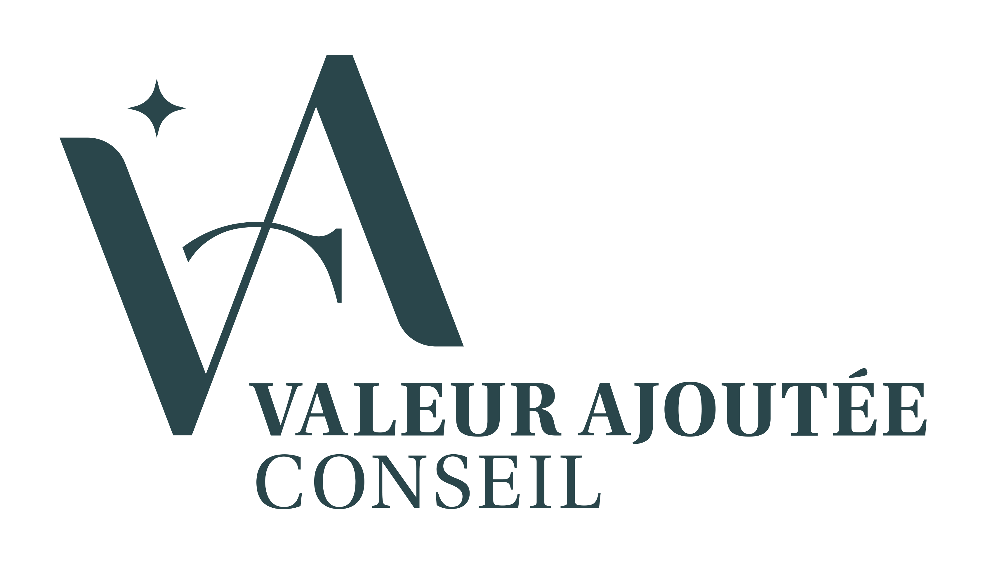 LOGO_VACONSEIL_CMJN
