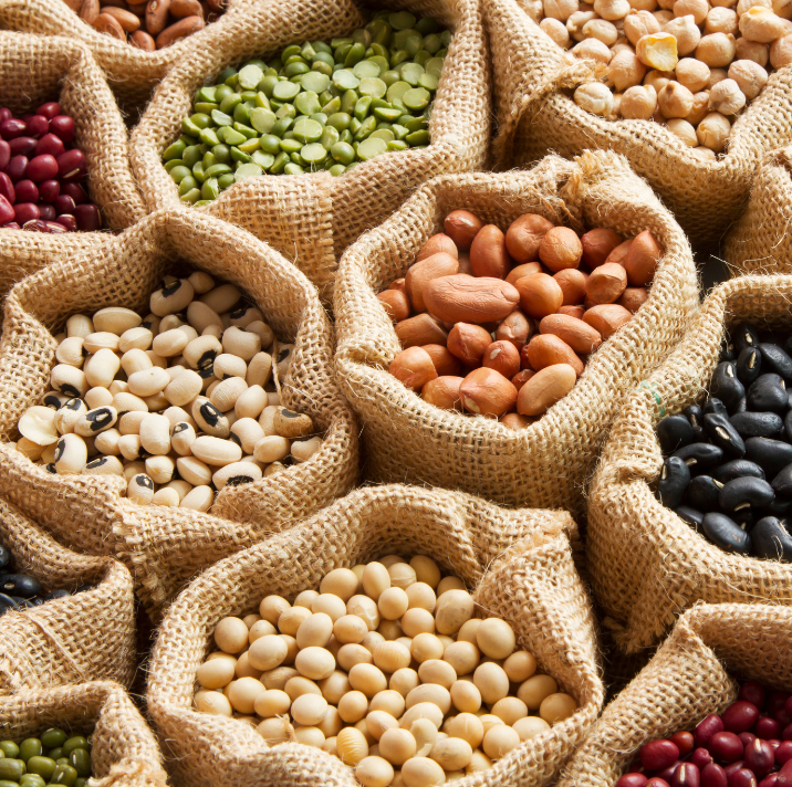 L%C3%A9gumineuses%202