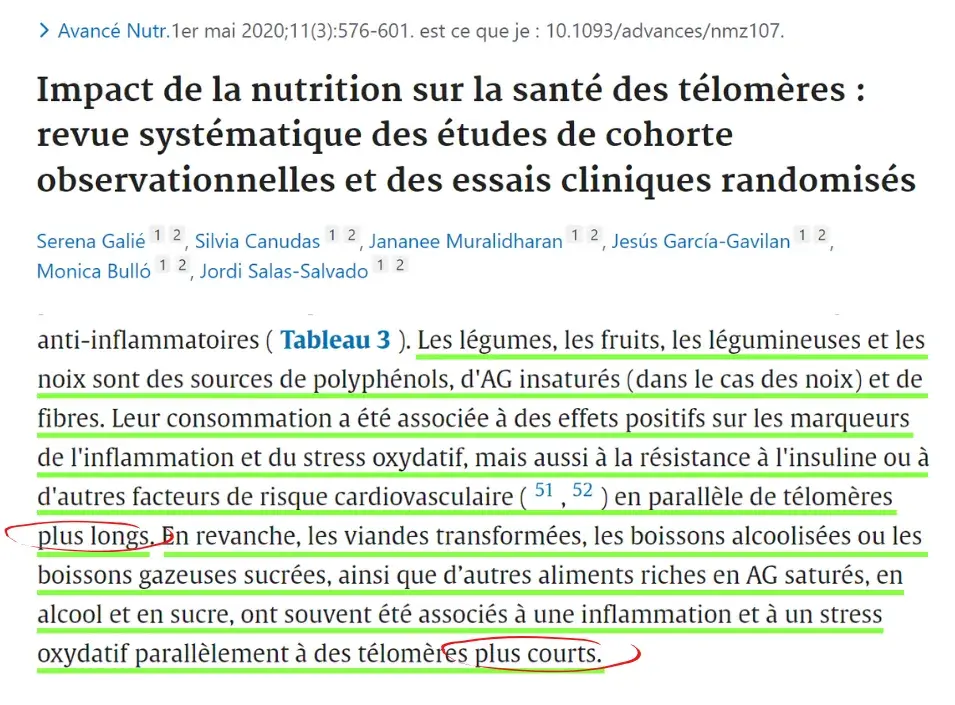 Etude%206%20-%20Long%C3%A9vit%C3%A9%20et%20t%C3%A9lom%C3%A8res