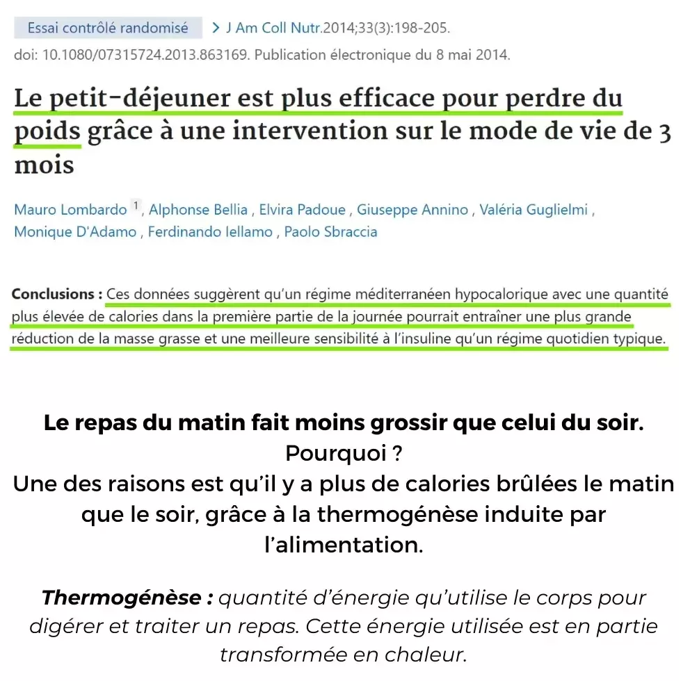 Etude%206%20-%20Petit%20d%C3%A9jeuner%20et%20perte%20de%20poids