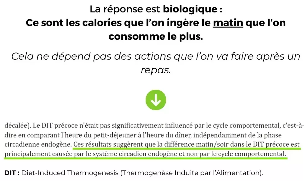 Etude%209%20-%20Chronobiologie%20(3)