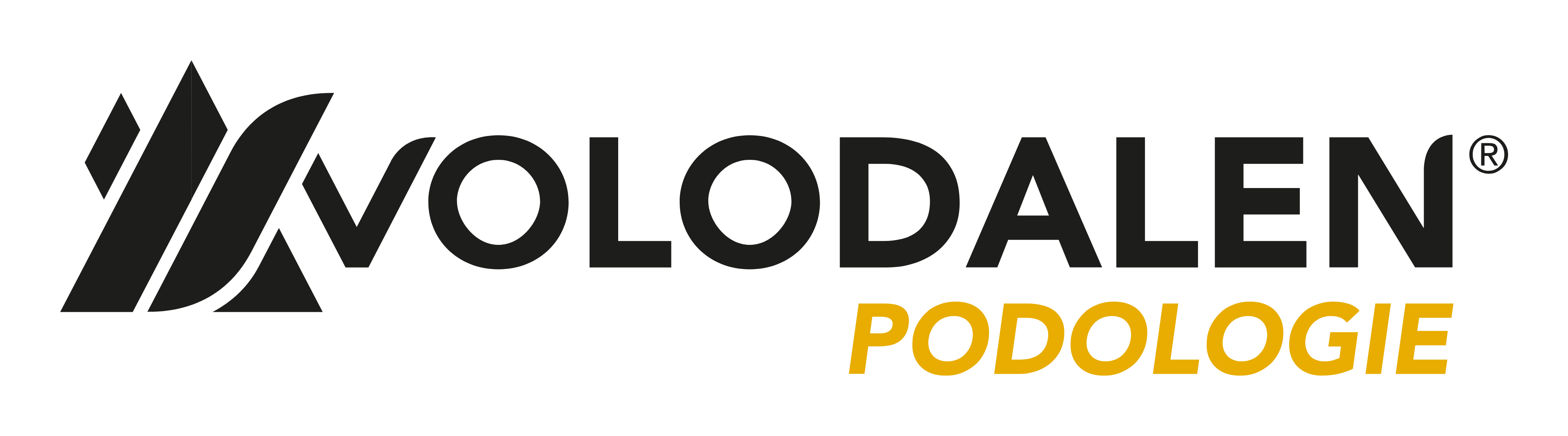 volodalen formations préférences motrices
